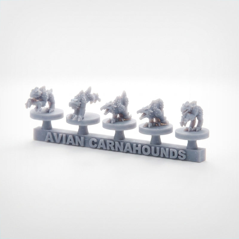 Avian Carnahounds