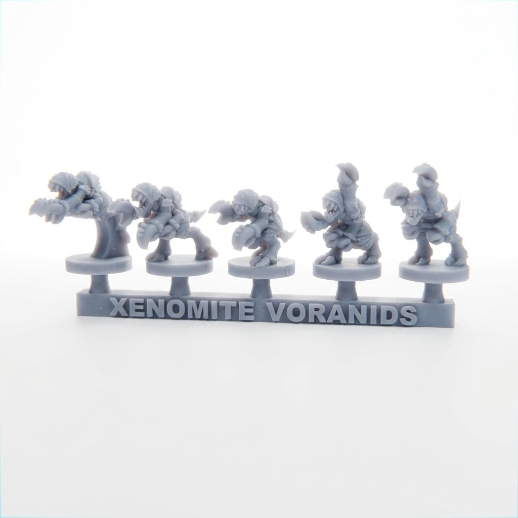 Xenomite Voranids