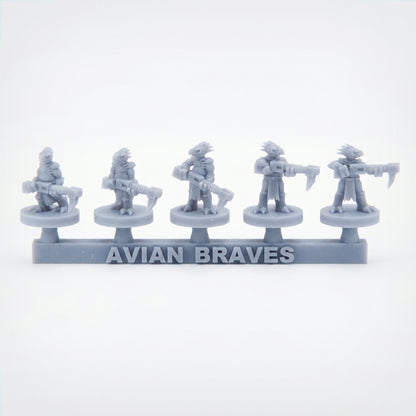 Avian Braves