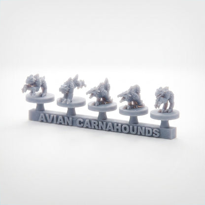 Avian Carnahounds