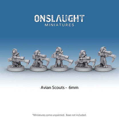 Avian Scouts