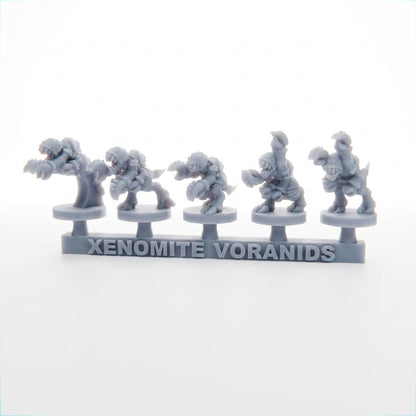 Xenomite Voranids