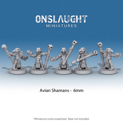 Avian Shamans