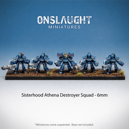Sisterhood Athena Destroyer Squad