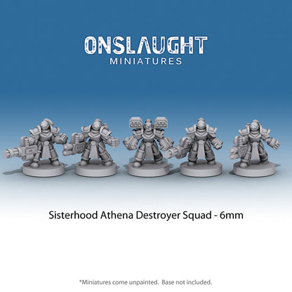 Sisterhood Athena Destroyer Squad