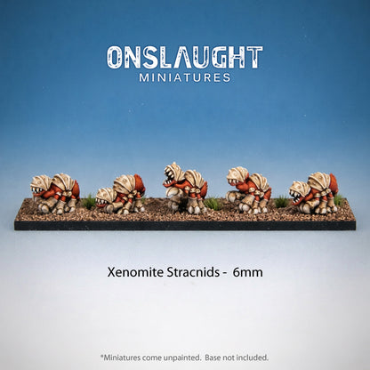 Xenomite Stracnids