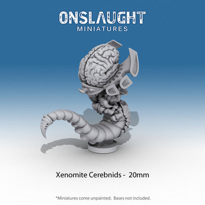 Xenomite Cerebnids