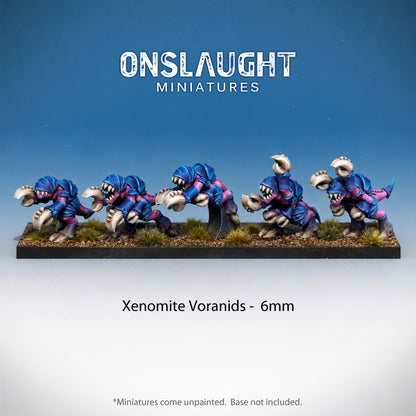 Xenomite Voranids